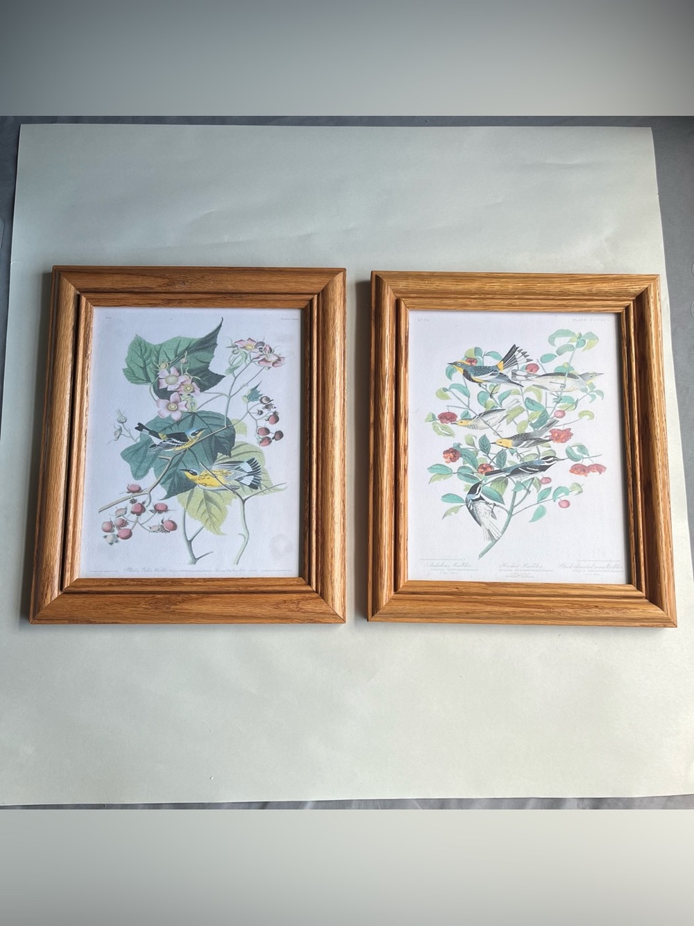 Vintage Honey Tone Wood Picture Photo Frames w/ Fine Art Prints-Set of 2